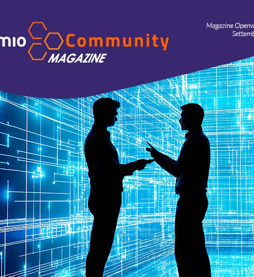 Software democracy lowcode nocode