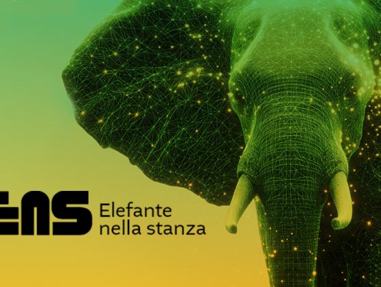The elephant in the room: Confindustria event